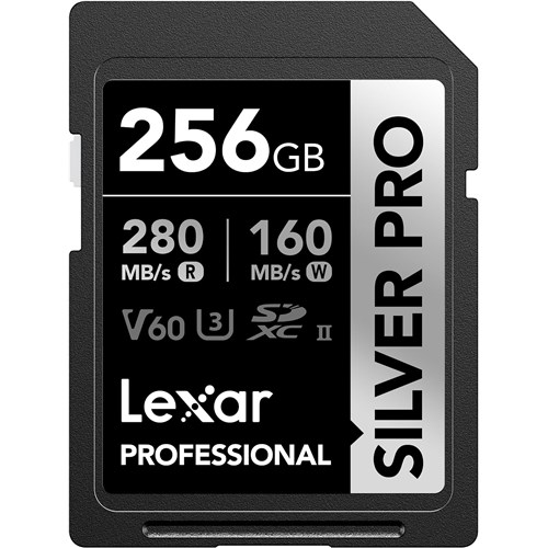 lexar silver pro 256gb